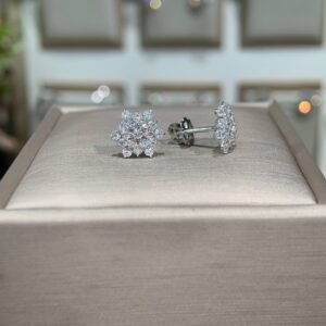 Bông tai kim cương Moissanite GRA (P58)